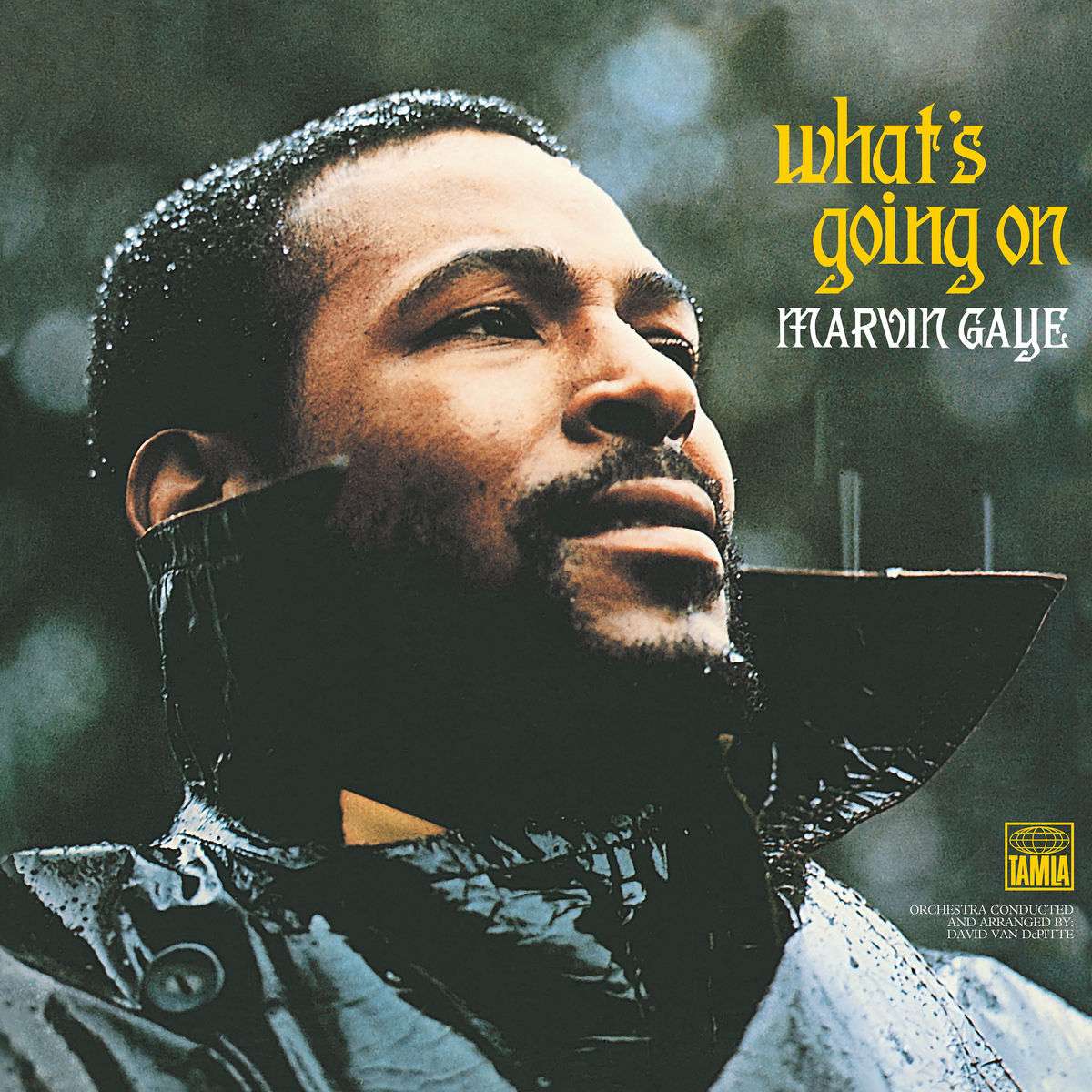 Marvin Gaye: What's Going On (180g) LP | Vinyl