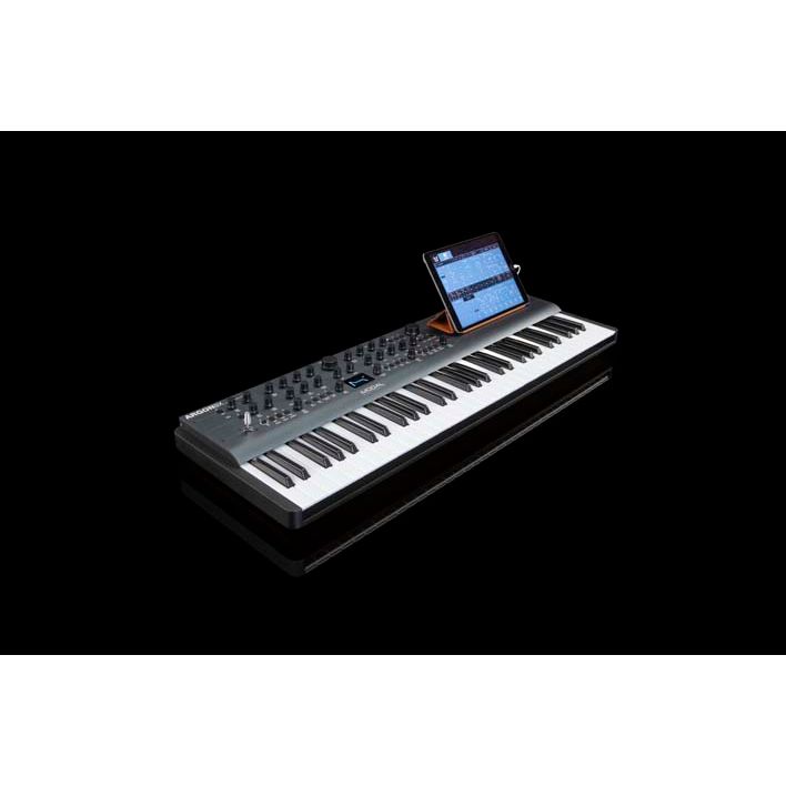 ARGON8X by Modal Electronics | 8-Voice Wavetable Synthesiser with 61 keys and  included software