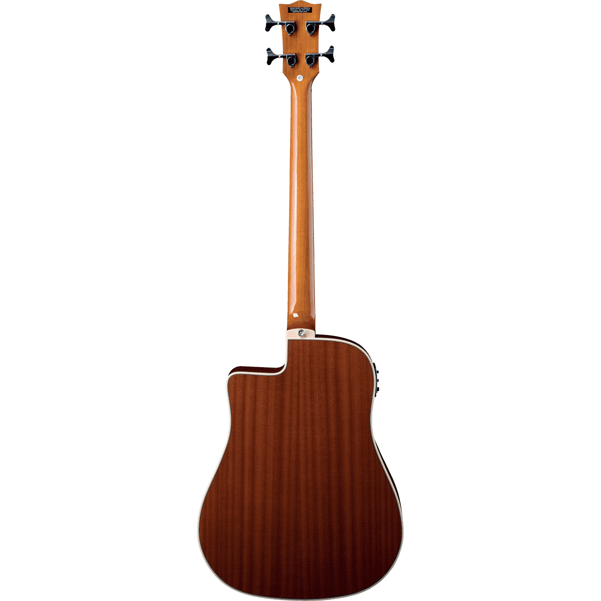 NXT B100CWE Natural | Electro-Acoustic Bass Guitar by EKO | GEA NXT-B100CWE-NAT