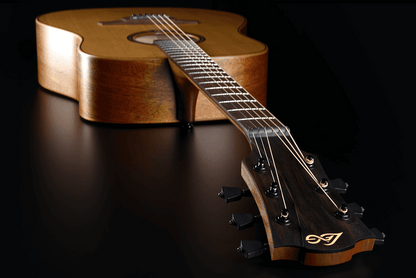 LÂG T170D Tramontane | Ακουστική κιθάρα dreadnought