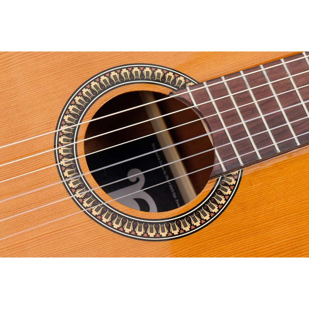 Pleyel P200 Classical Guitar | Solid Red Cedar Top | 4/4 | Natural