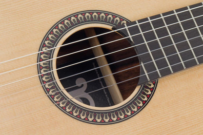 PLEYEL P800 | Κλασική κιθάρα Expression