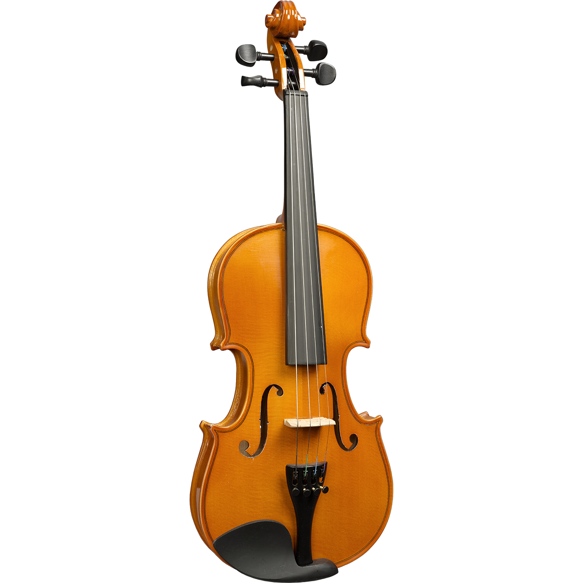 Violin all solid 4/4 size by Herald | AS144