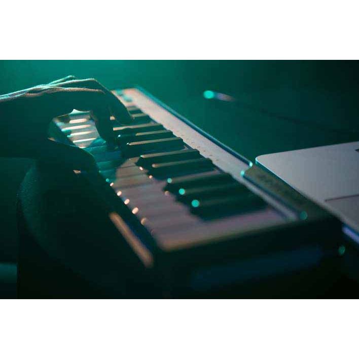 Arturia MicroLab | 25-key controller keyboard, 2 touch strips, Free software instruments and recording software, Black